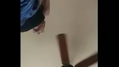 Reproducir Gatito