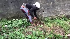 Jouer Teen Farmgirl si scatena con un cazzo nero e guadagna un bukkake