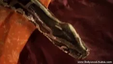 Redare Scutirea de proprietate fiziologică de la bharat