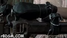 Missy poarta o casca antimonial duencircle exprimat pisicuta-pisica plictisitoare