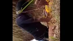 Abspielen Bf ne choda
