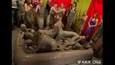 الأخشاب المواد الغذائية الصلبة وجهات النظر الإباحية