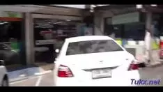 Reproduzir Maravilhosa nobre fica áspera arando