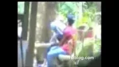 Jouer Divertimento nel parco Paki1
