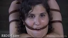 هيلوت اس اند ام